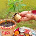 25 दिसंबर को क्यों मनाया जाता है तुलसी पूजन दिवस, जानें कब और कैसै हुई इसकी शुरुआत व धार्मिक महत्व