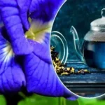 Flower of Aparajita: सिर्फ सजावट नहीं, संजीवनी है अपराजिता का सुंदर फूल, आइये जानें इसके लाभ और फायदे…