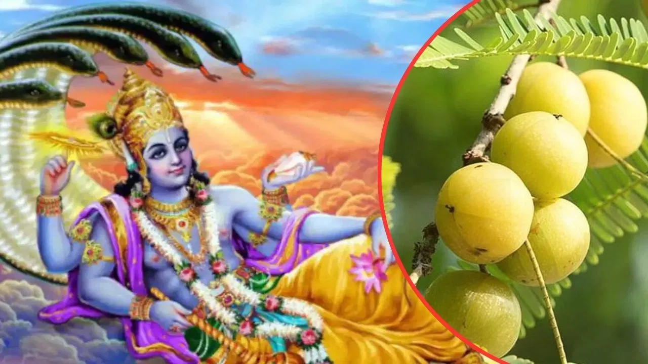 February Ekadashi 2026