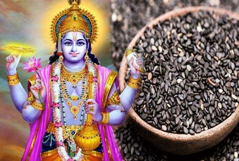 Shattila Ekadashi 2026: षटतिला एकादशी पर पड़ रहा सर्वार्थ सिद्धि और अमृत सिद्धि योग, जानिए इसकी शुभ तिथि, पूजा विधि एंव धार्मिक महत्व…