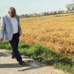 Kanpur: बेमौसम बारिश से बर्बाद हुई फसलें, डीएम जितेंद्र प्रताप सिंह ने किया स्थलीय निरीक्षण, दिए सर्वे के आदेश