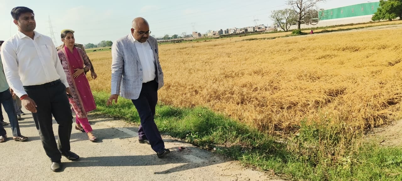 Kanpur: बेमौसम बारिश से बर्बाद हुई फसलें, डीएम जितेंद्र प्रताप सिंह ने किया स्थलीय निरीक्षण, दिए सर्वे के आदेश